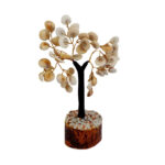 Gomti Chakra Tree