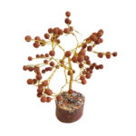 Rudraksha Tree