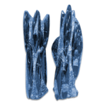 Orthoceras Tower and Plate