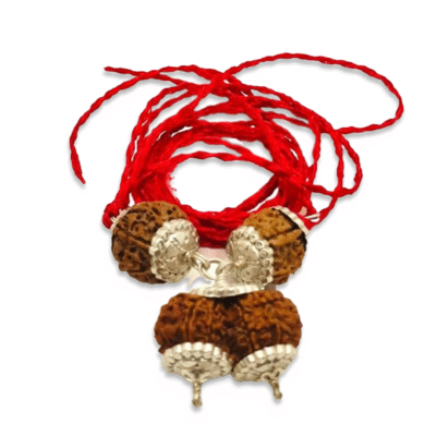 Shiv Parivar Kavach – Rudraksha Kavach for Enhancing Social Relationships