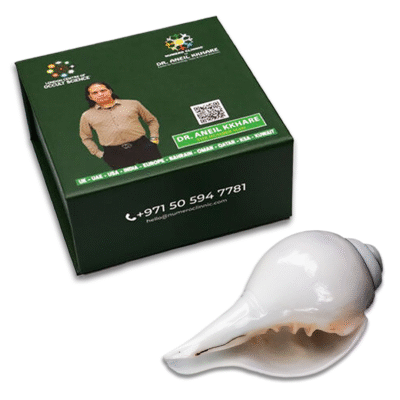 Small Shankh Conch Shell for Pooja - Image 2