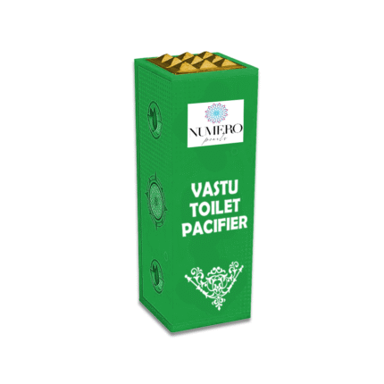 Vastu Toilet Pacifier