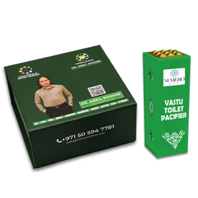 Vastu Toilet Pacifier - Image 2