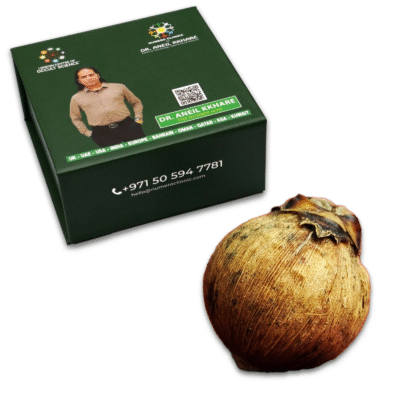 Laghu Nariyal / Small Coconut - Image 2